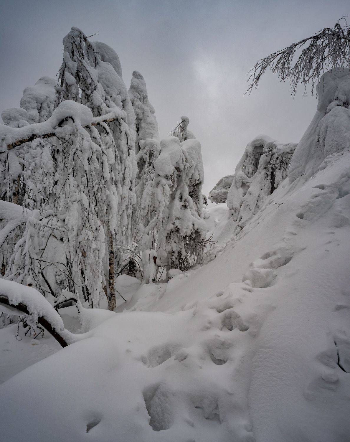 , Юрий Чернов