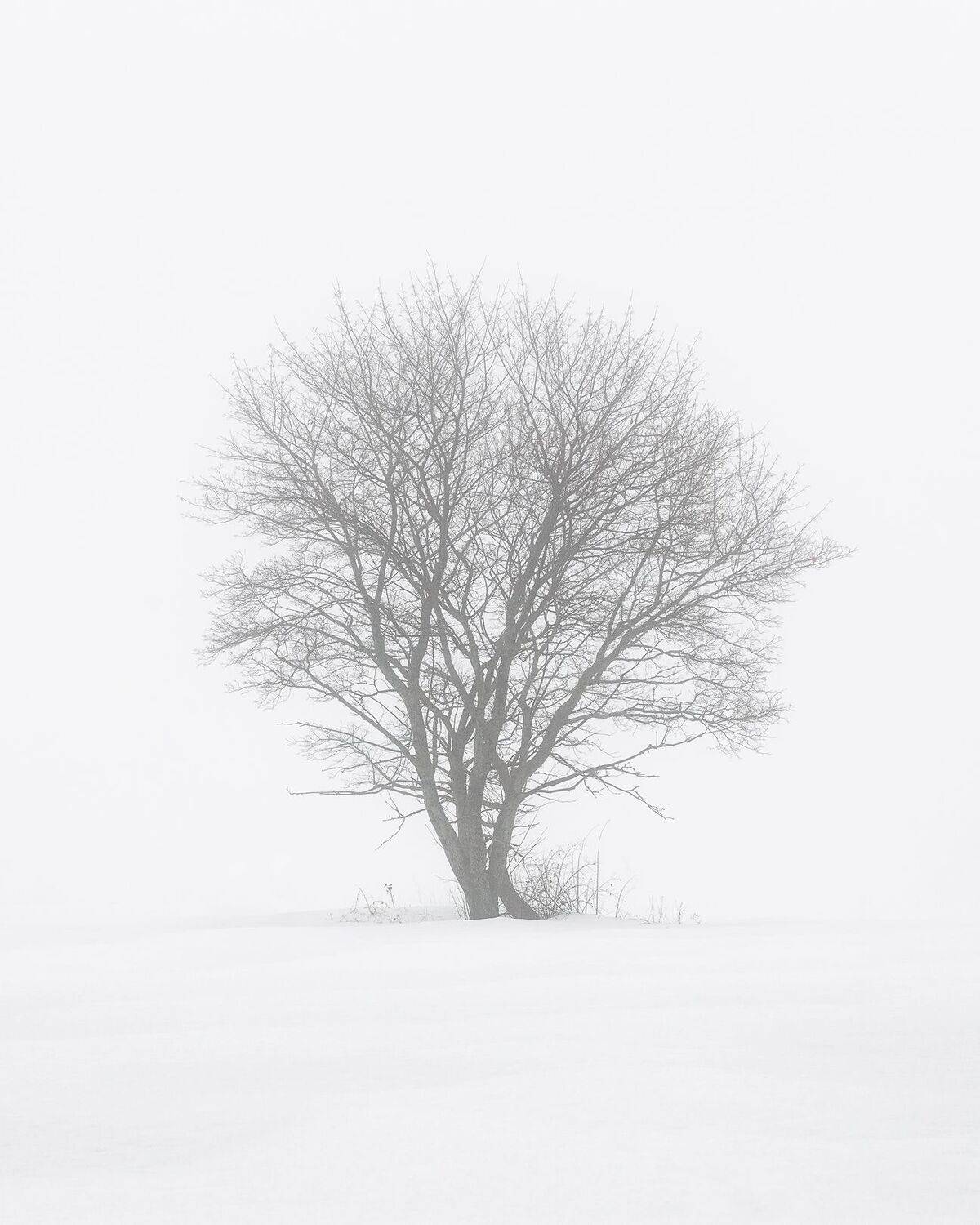 , Сергей Сергеев