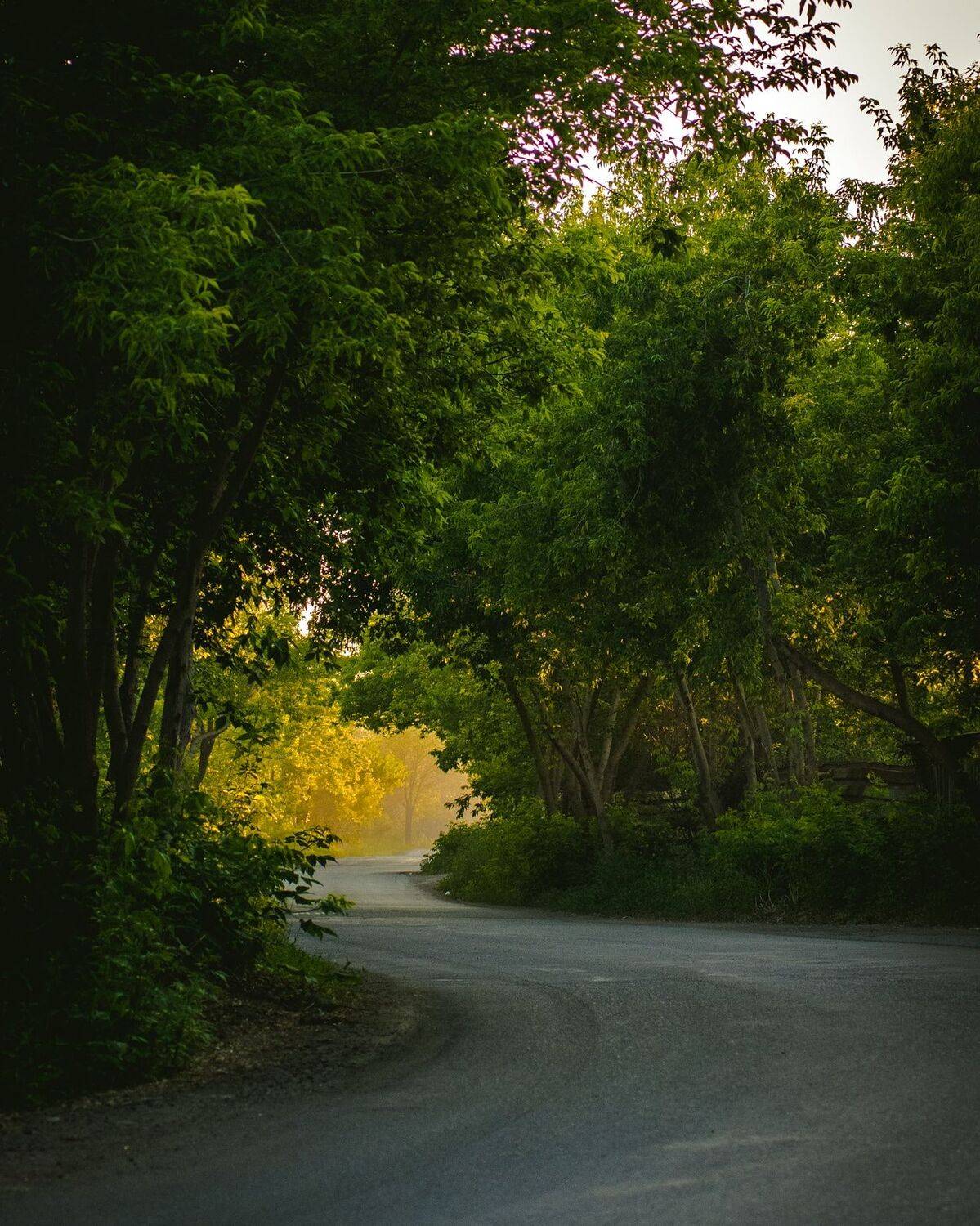 , Денис Храмеев