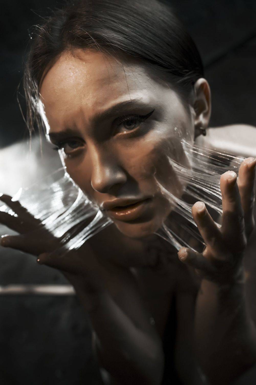 , Городничев Валерий