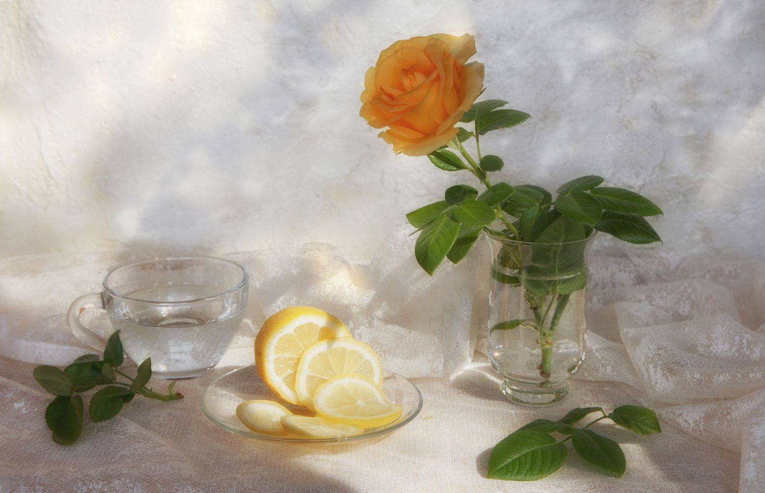 , Татьяна Назмутдинова