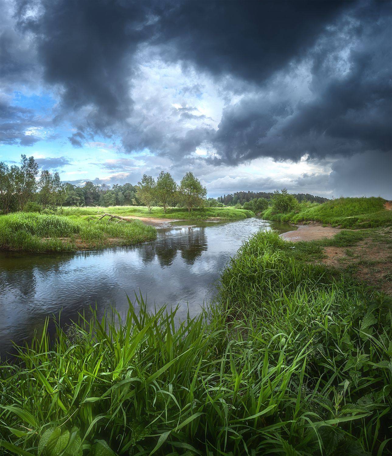 , Николай Андреев