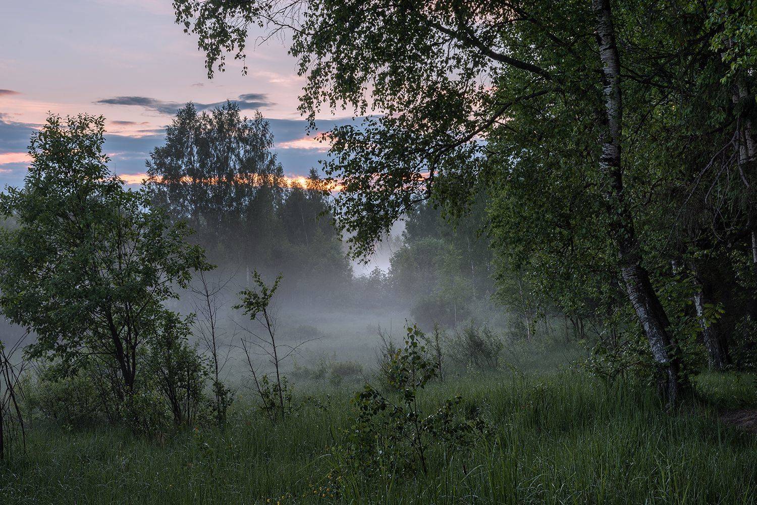 , Дмитрий Асеев