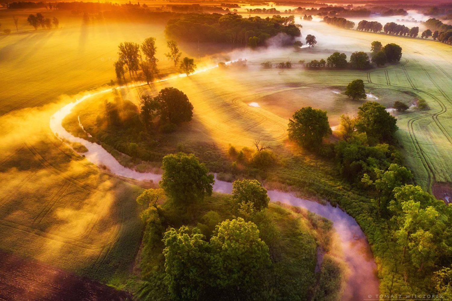 landscape, poland, light, spring, awesome, amazing, sunrise, sunset, lovely, nature, travel, dji, mavic, river, fog, mist, mood, trees, Tomasz Wieczorek