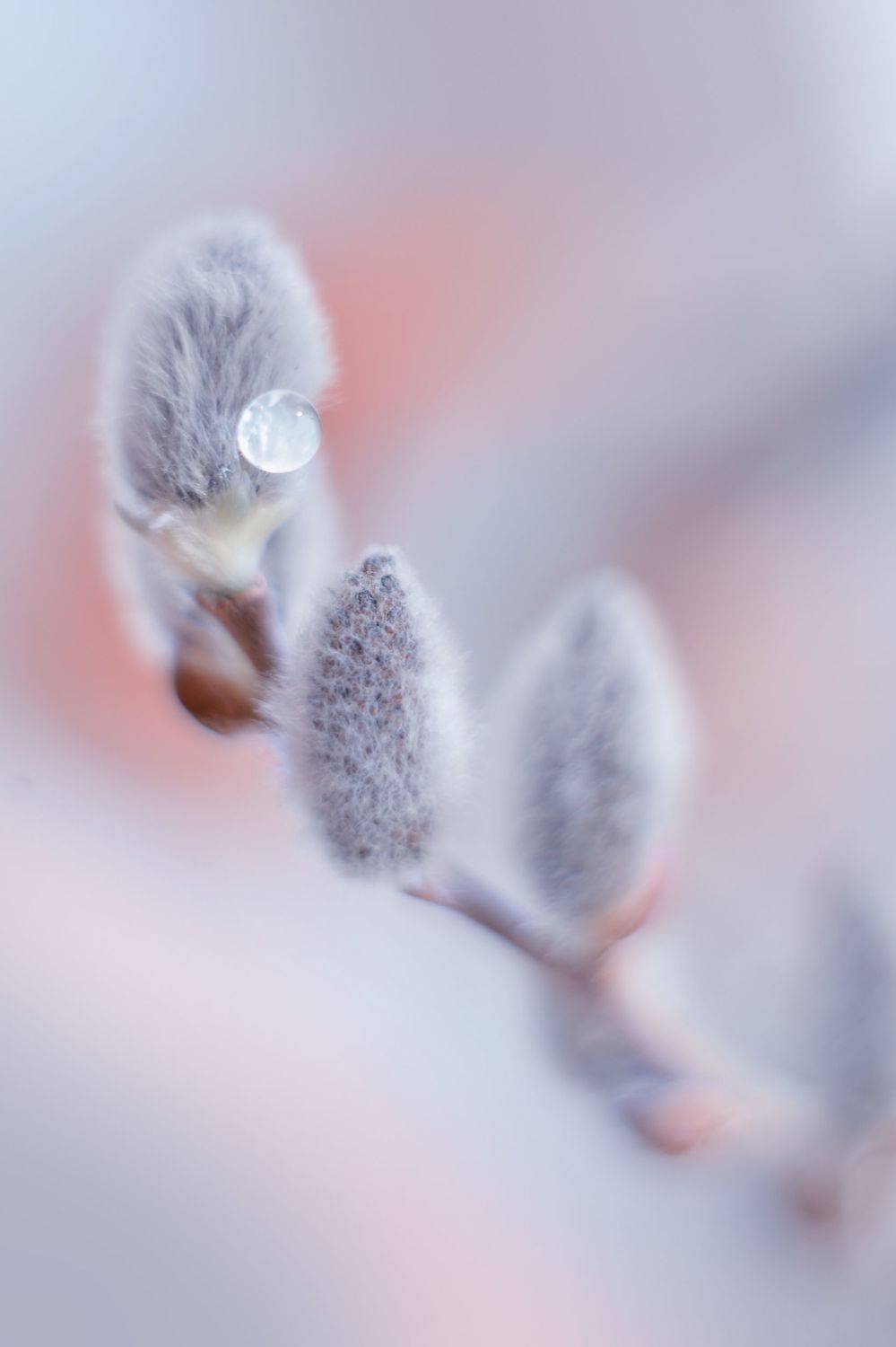 , Воинкова Ирина