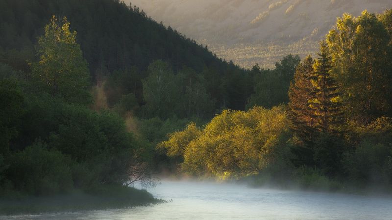 юрюзань, зигальга Таёжные зарисовки фото превью