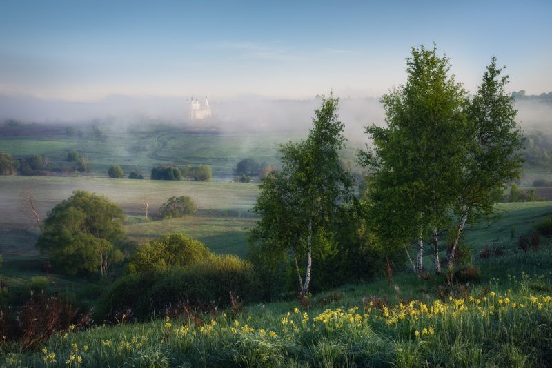 тульская область, анастасов монастырь, монастырь, тульские пейзажи, одоевский район, одоев, анастасово, весенний пейзаж, весна, май, примула, первоцвет, русский пейзаж, березки, луг, долина реки, долина упы, река упа, утренний туман Примула цветет фото превью