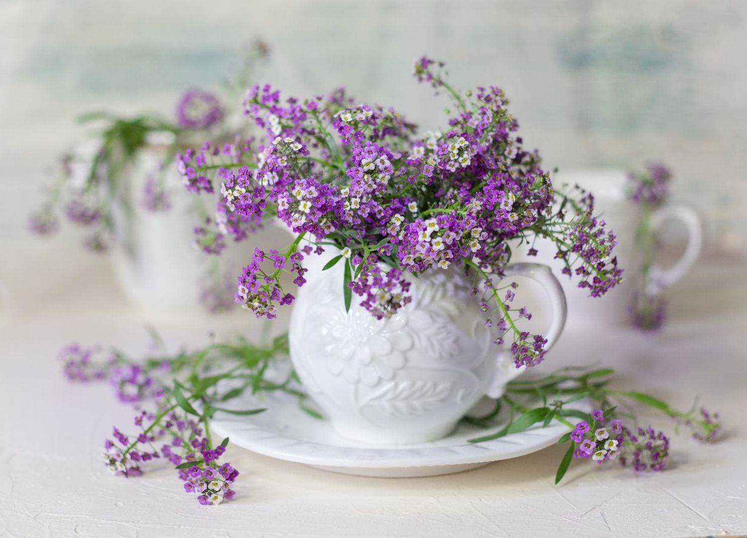 натюрморт, цветы, Оля