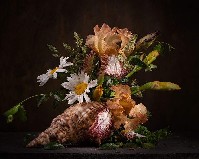 Букет в ракушке фото превью