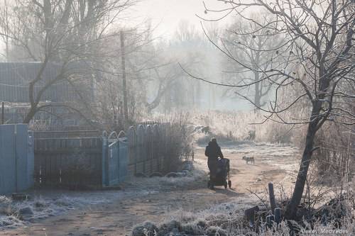 Утренняя прогулка