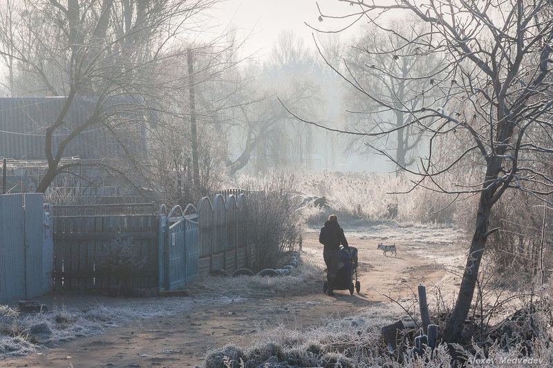 васильков васильків стугна Утренняя прогулка фото превью