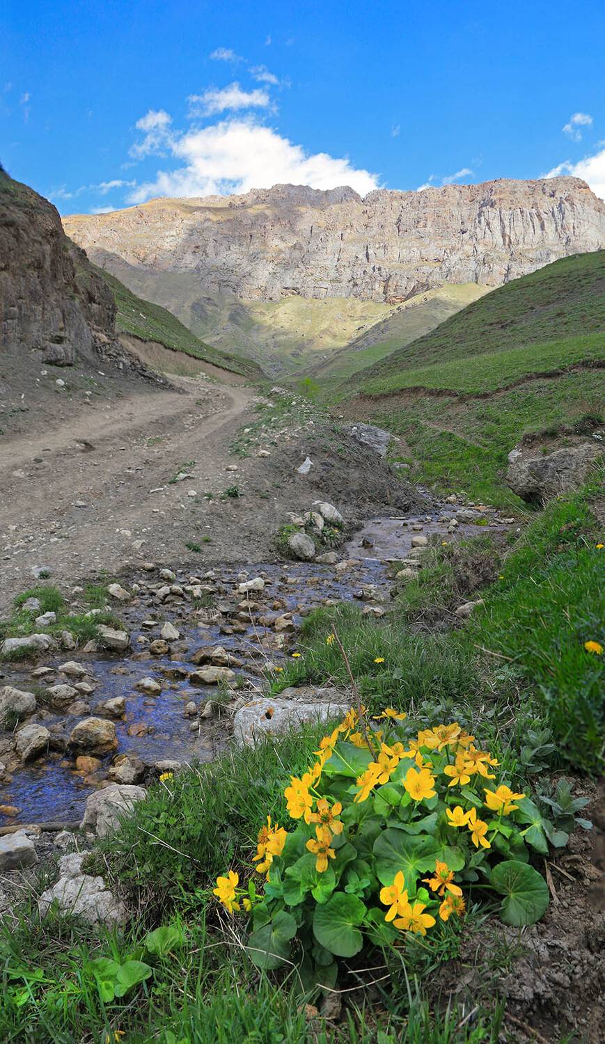 Кавказ, Ингушетия, Гули, Цей-Лоам, Борис Резванцев