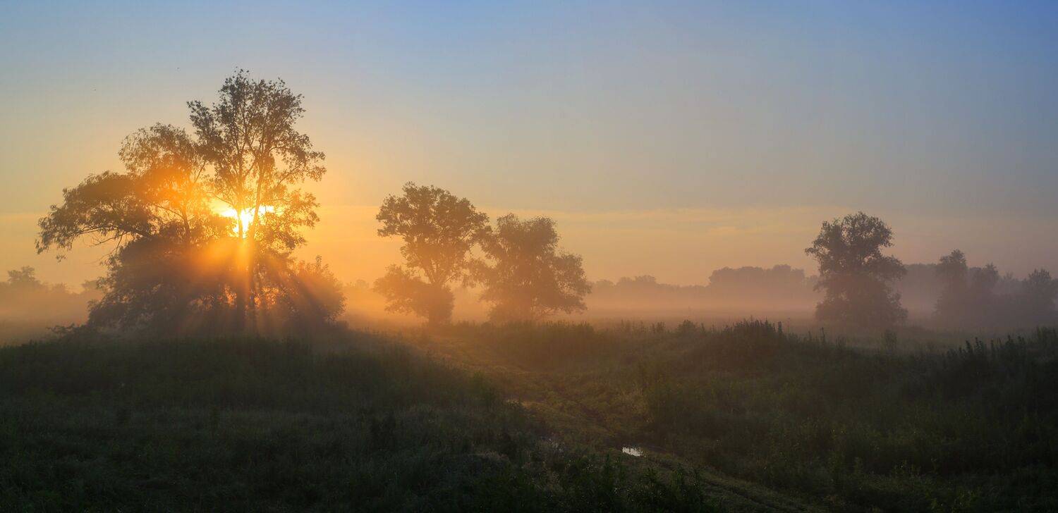живая природа, Валерий Черняк
