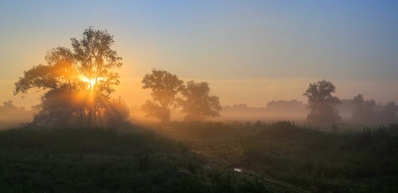 живая природа *** фото превью