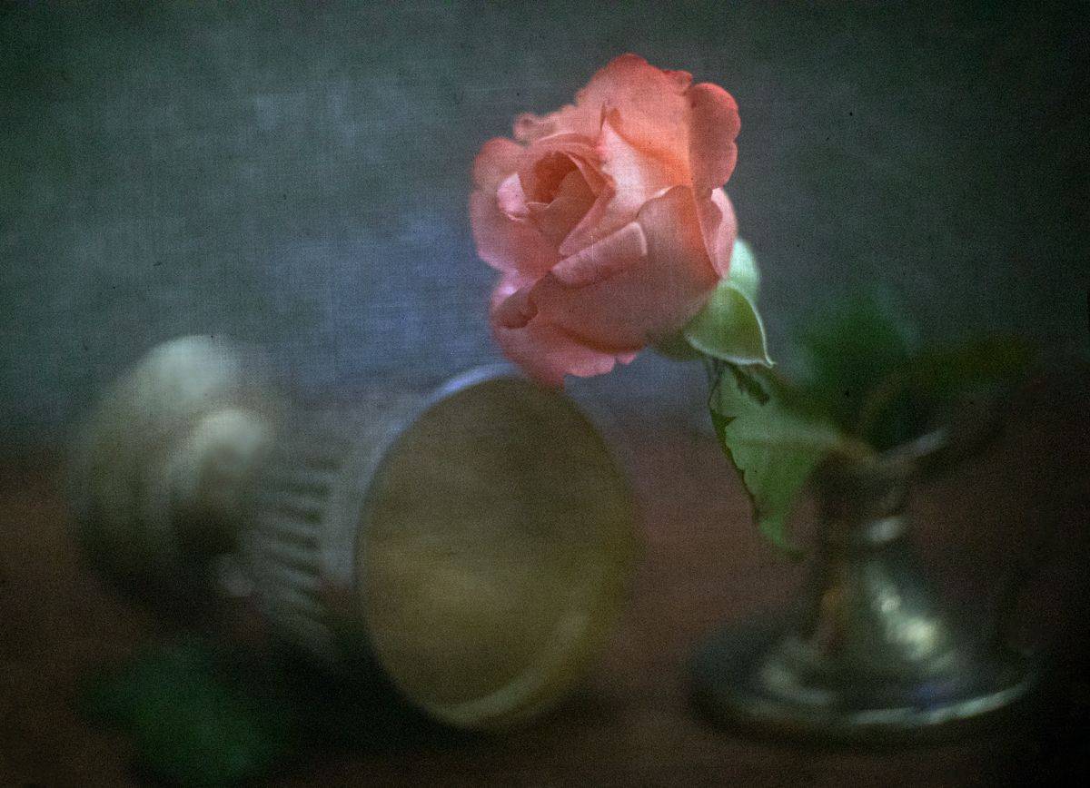 #haruhisa, Татьяна Аверина