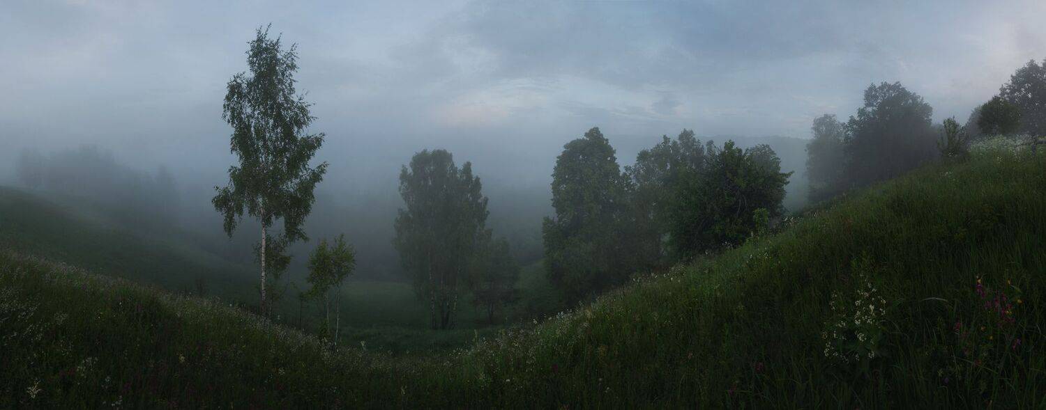 лес, свет, утро, природа, Баранов Олег