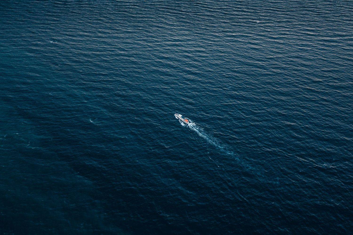 , Александр Шинкаревский