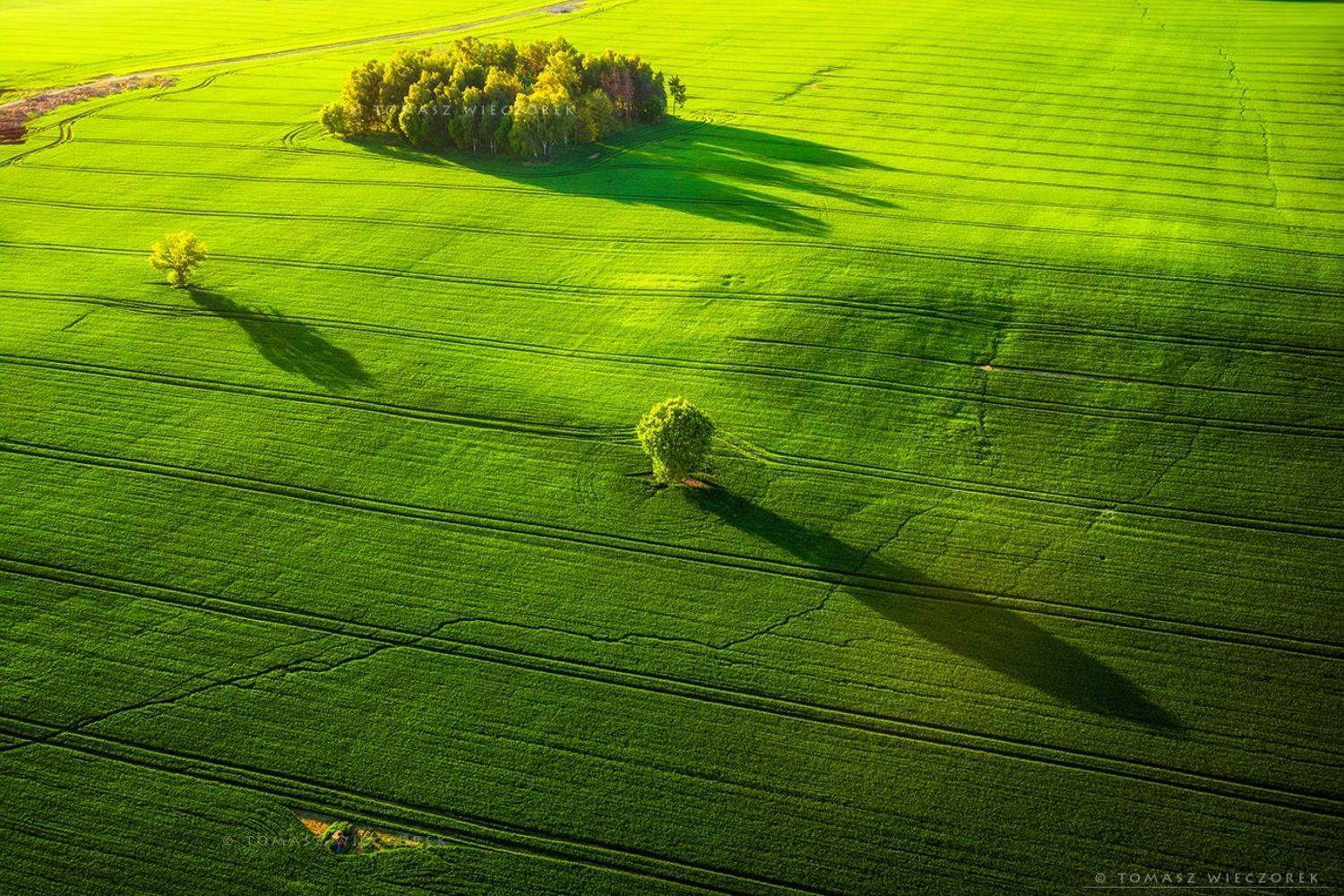 landscape, poland, light, spring, awesome, amazing, sunrise, sunset, lovely, nature, travel, trees, dji, mavic, shadows, fields, Tomasz Wieczorek