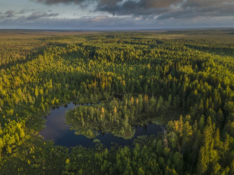 Маленькая заводь фото превью