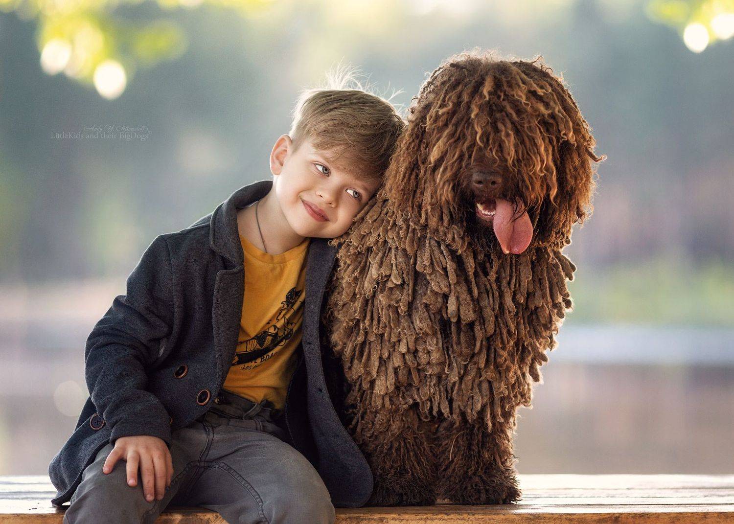 , Андрей Селиверстов