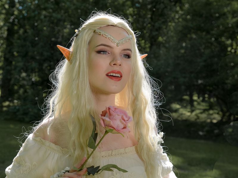 девушка, свет, платье, фотография, гламур, постановочная фотография, лес, роза, Девушка Эльф. фото превью