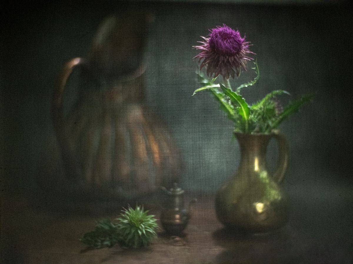 #haruhisa, Татьяна Аверина