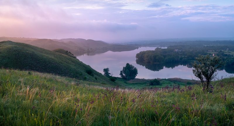 #ProDonbassZealand фото превью