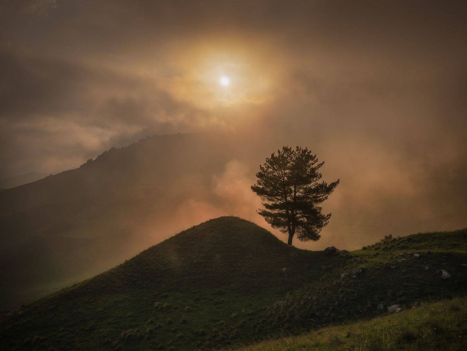 ингушетия, кавказ, Андрей Грачев