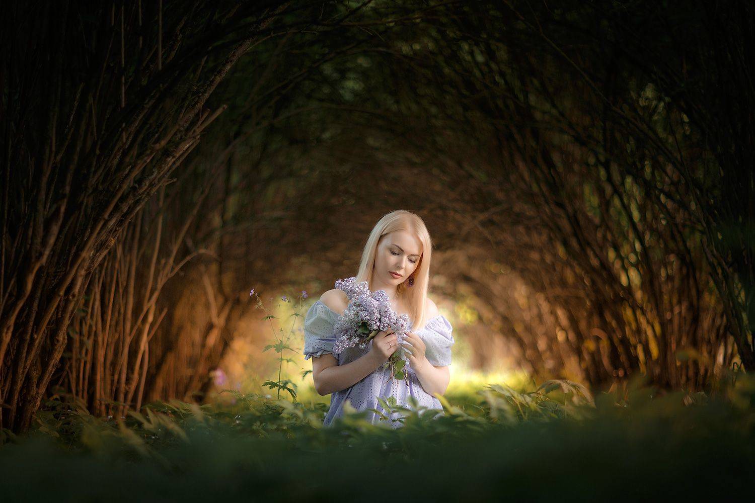 , Тимофей Шутов