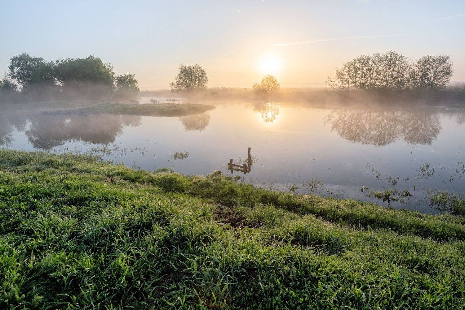 , Александр Бредихин