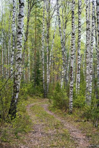 Майские этюды