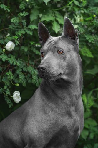 Портрет Юны