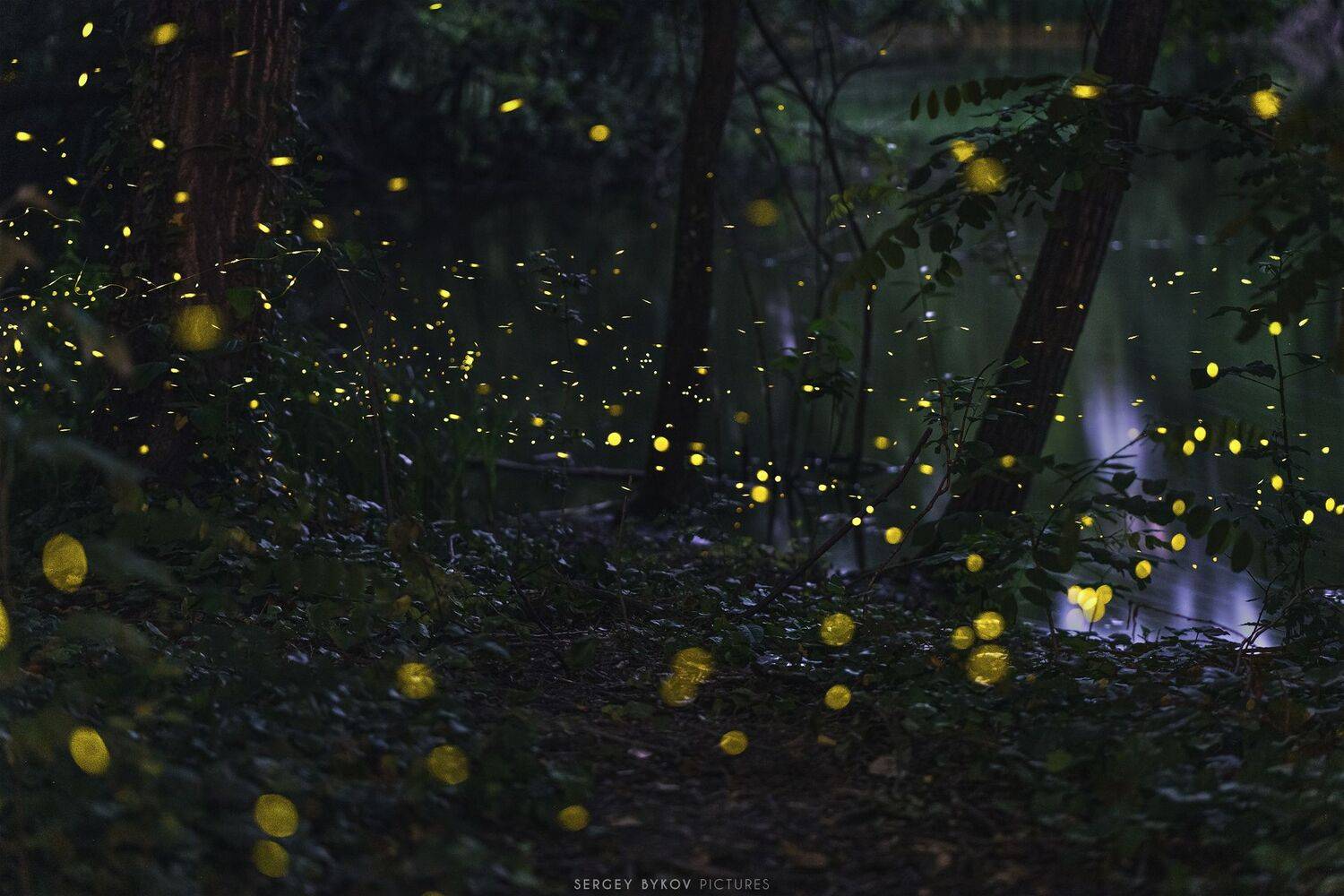 milan, italy, street, mood, Сергей Быков