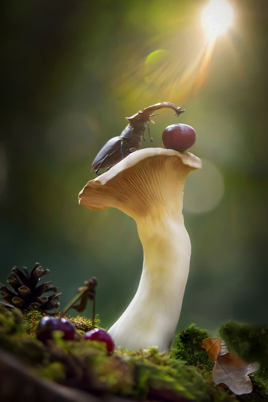 \'The World Is Mine\' фото превью