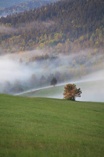 Spring in Beskid Niski, Poland