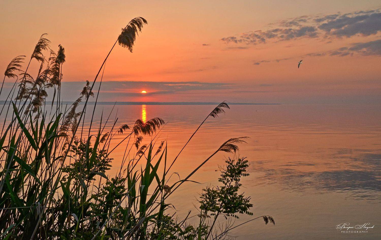 утро, рассвет, восход, небо, облака, дорожка, Валерий Наумов