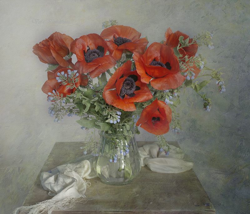 Red poppies фото превью