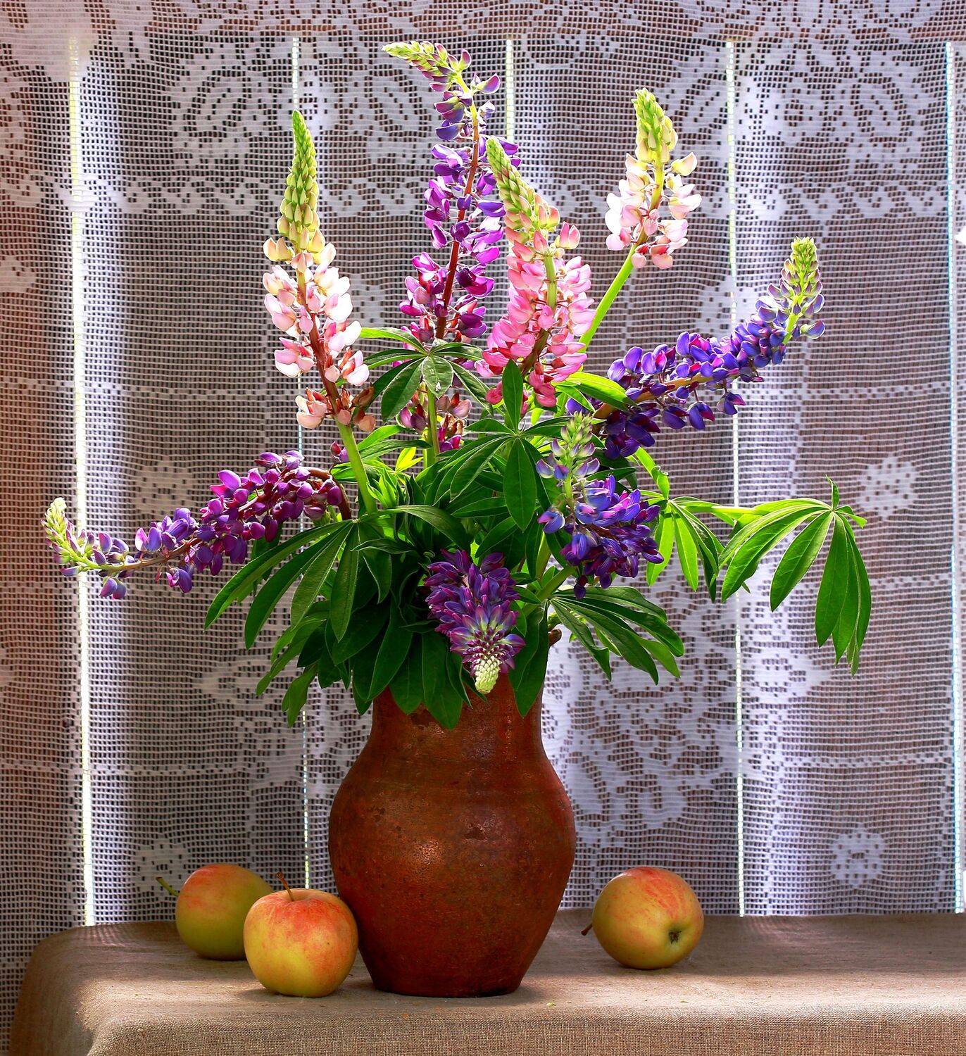 натюрморт, фотонатюрморт, лето, деревня, люпины, цветы, наталья казанцева, Наталья Казанцева