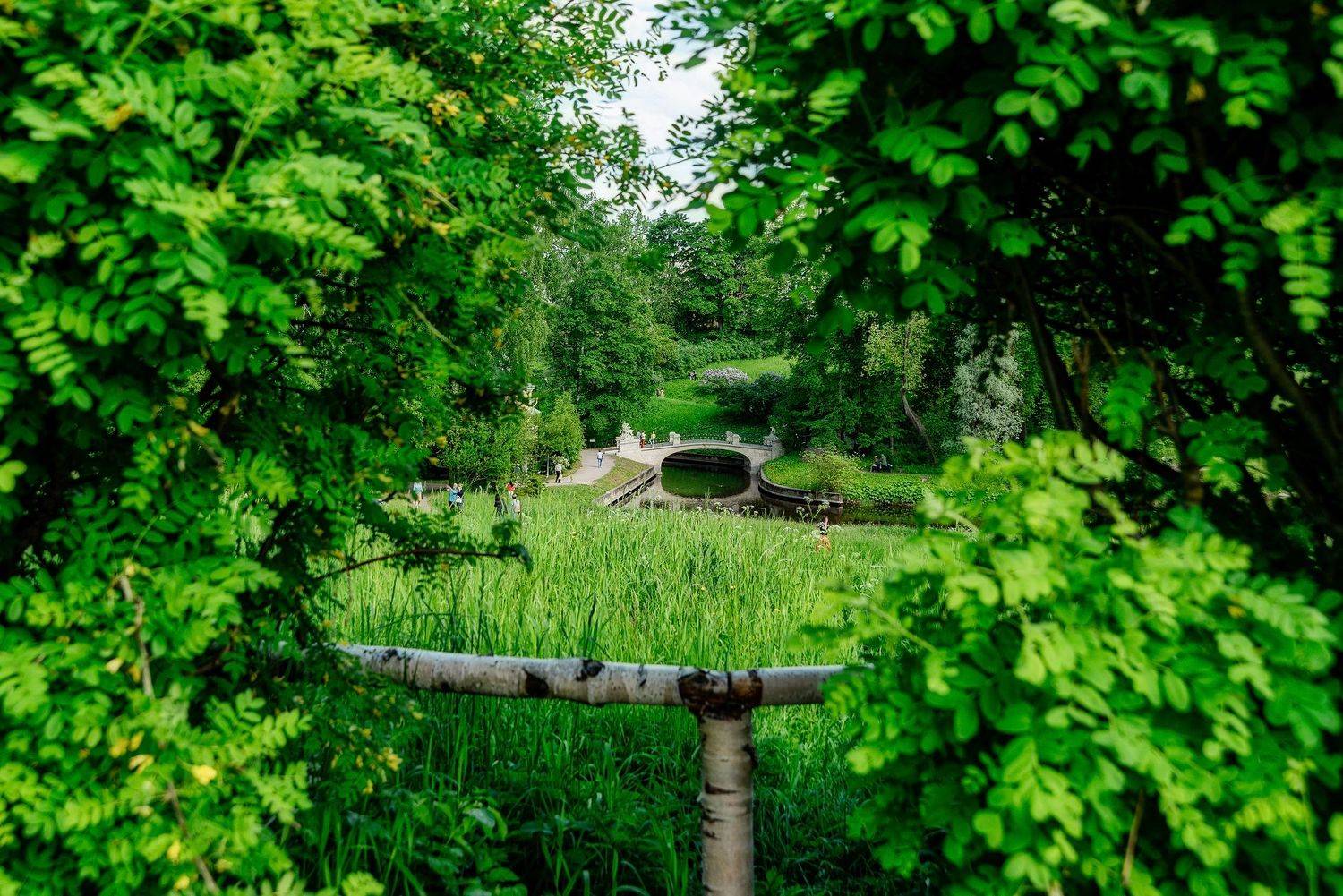 лето, парк, зелень, деревья, волшебство, Вавилова Елизавета