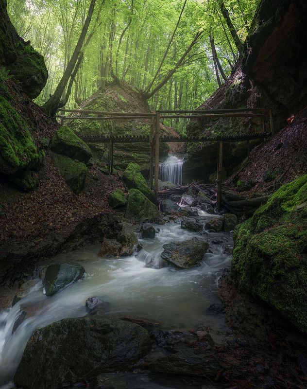 Ravine фото превью