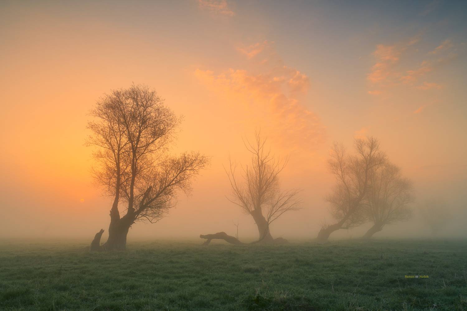 fog, landscape, sunrise, trees, sky, mystery, grass,, Roman Hudzik