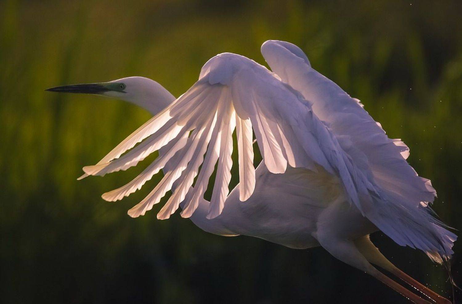 , Вячеслав Мищенко