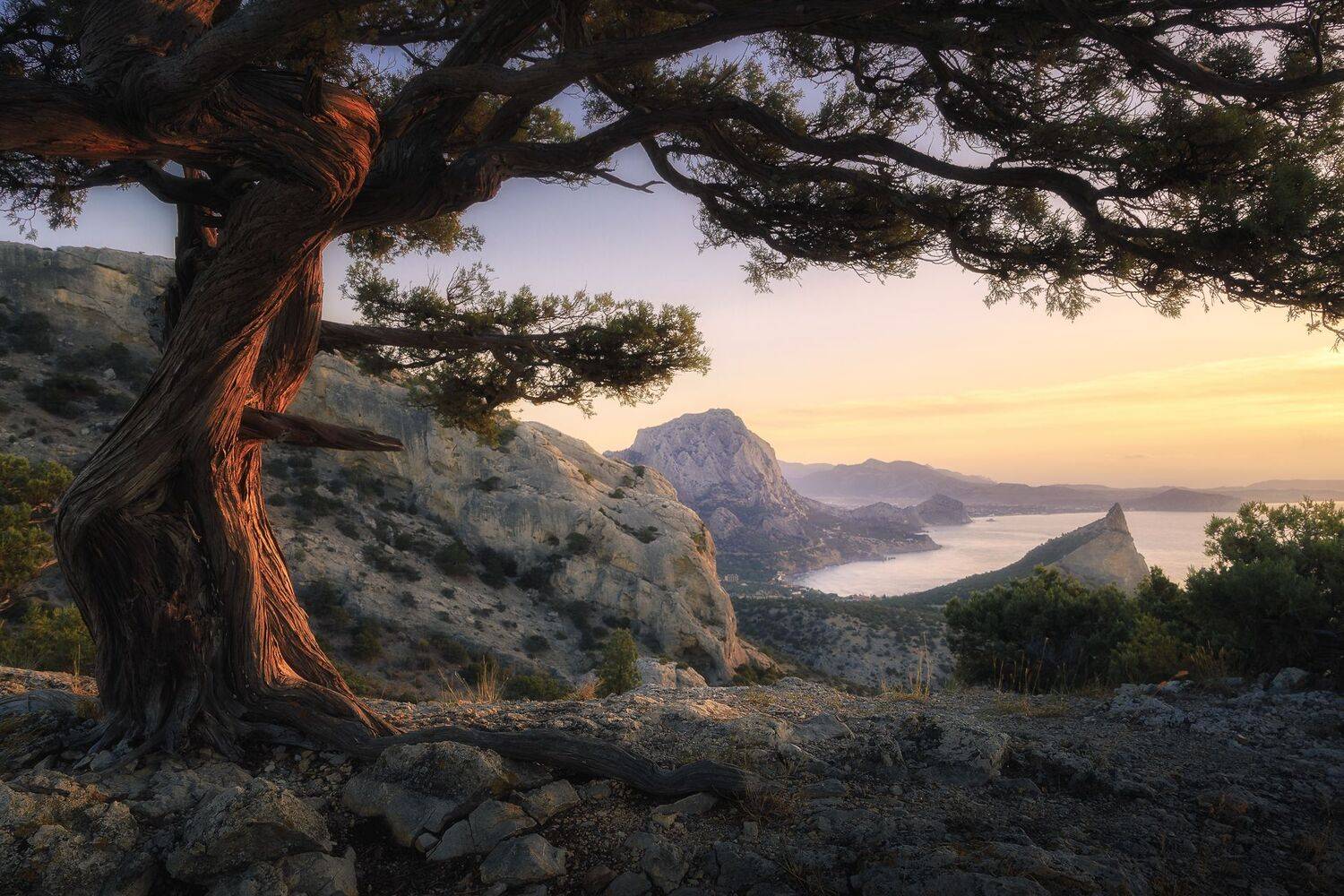 , Александр Писарев