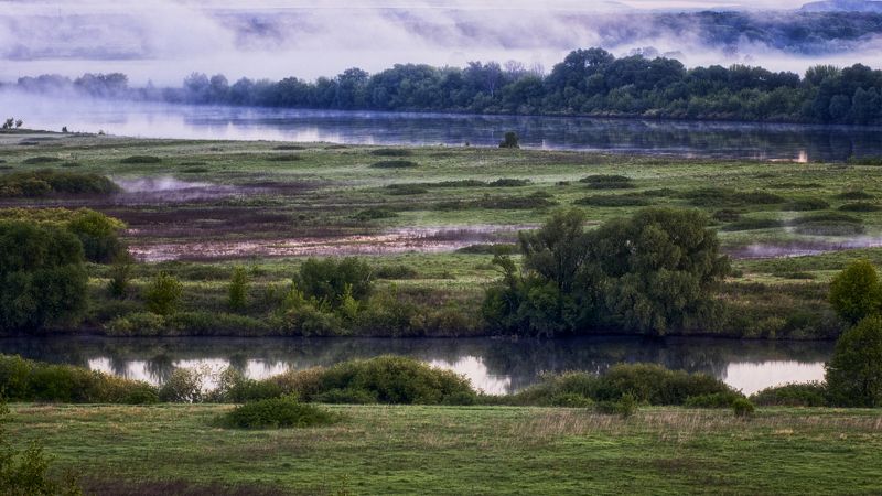 реки,восход,туман. На слиянии двух рек. фото превью