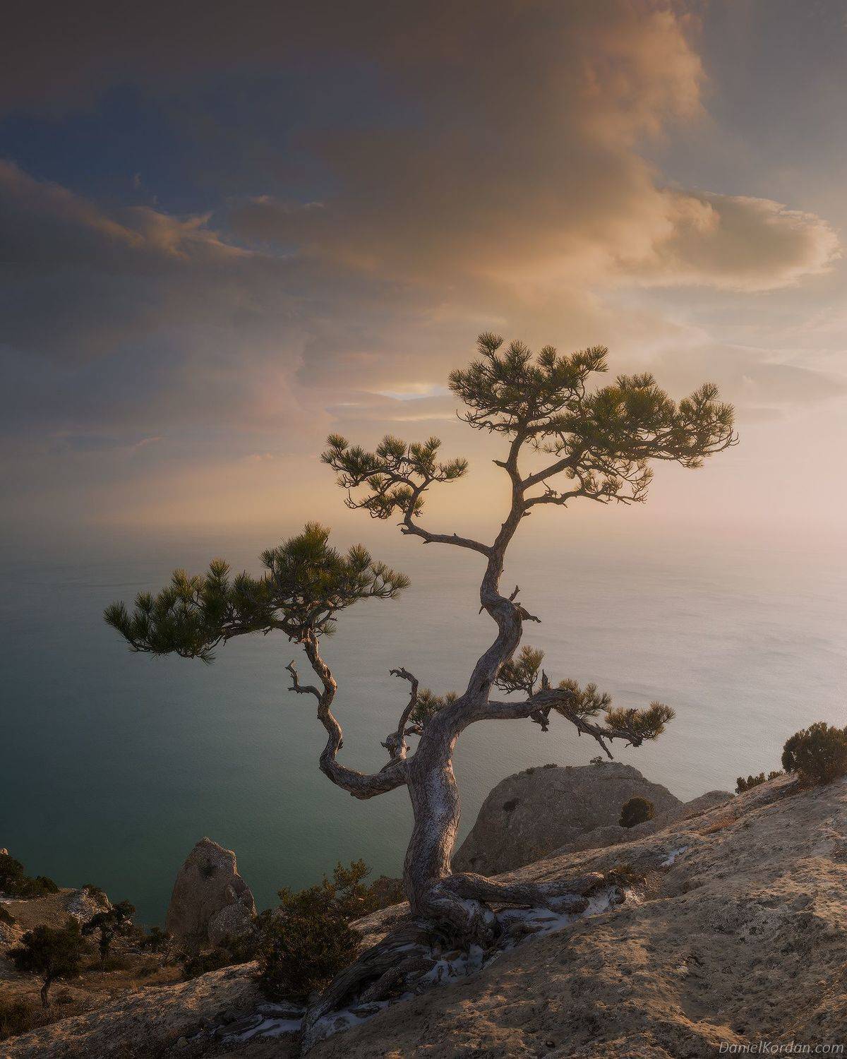 Крым, Даниил Коржонов