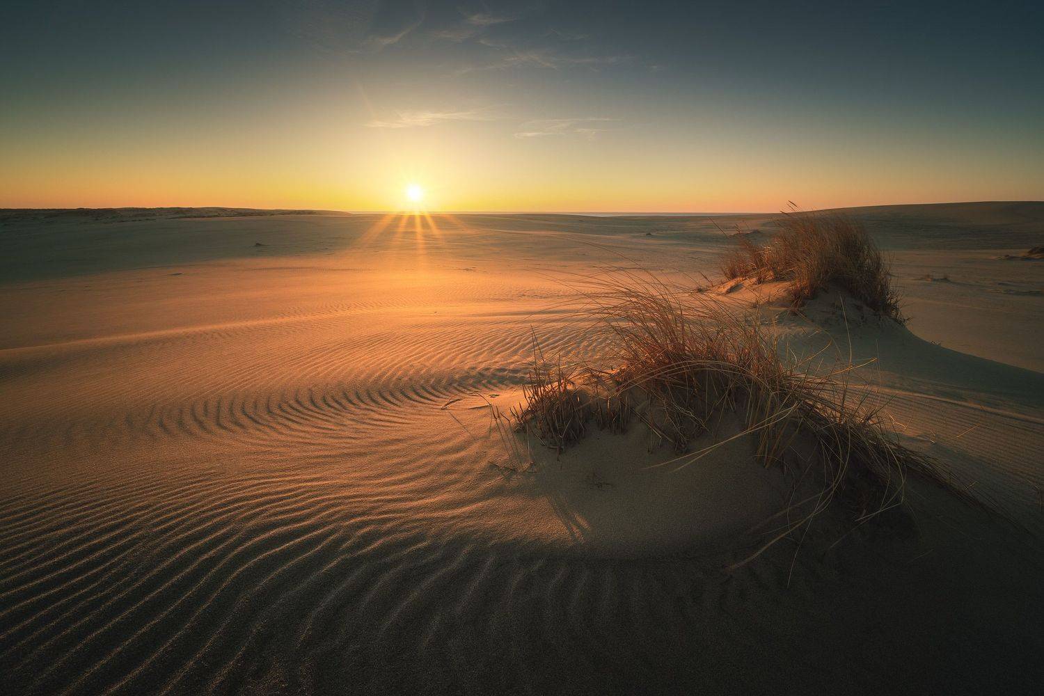 россия, калининградская область, балтика, балтийское море, куршская коса, национальный парк, пейзаж, природа, море, дюны, куршский залив, песок, весна, рассвет, солнце, Оборотов Алексей