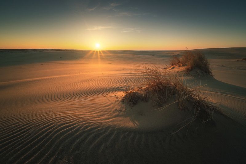 россия, калининградская область, балтика, балтийское море, куршская коса, национальный парк, пейзаж, природа, море, дюны, куршский залив, песок, весна, рассвет, солнце Дюны фото превью