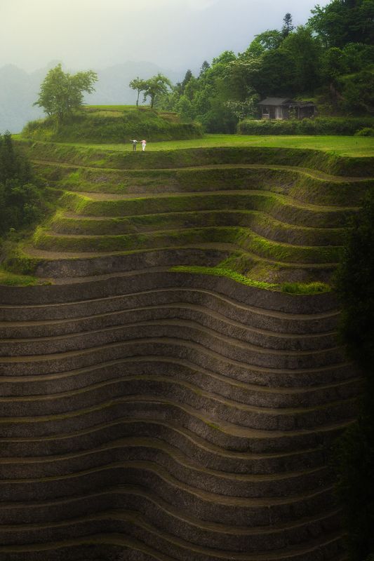 landscape, china, guilin, rice fields, A Piece of Happiness фото превью