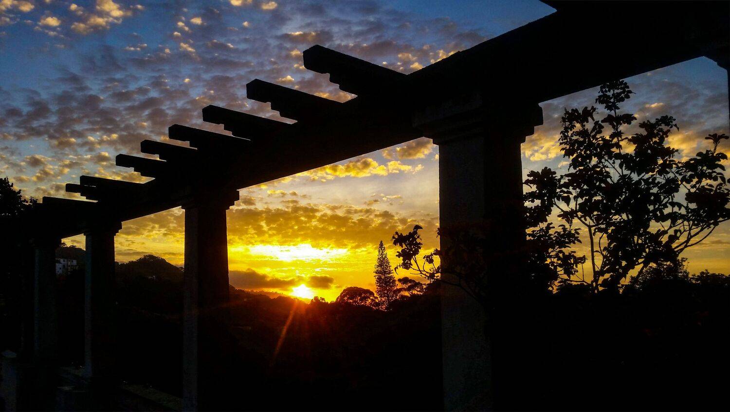 Landscapes, City, Nature, Carlos Machado