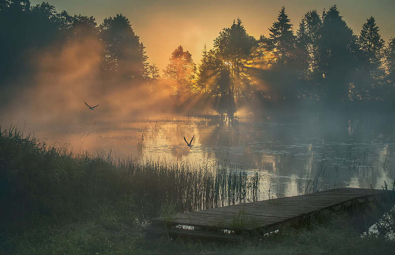 ..рассветная.. фото превью